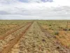 " Sunset View " Lot 15 Landsborough Highway, Winton, Qld 4735-Image