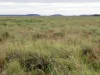 " Sunset View " Lot 15 Landsborough Highway, Winton, Qld 4735-Image
