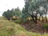 " Sunset View " Lot 15 Landsborough Highway, Winton, Qld 4735-Image