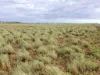 " Sunset View " Lot 15 Landsborough Highway, Winton, Qld 4735-Image