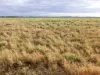 " Sunset View " Lot 15 Landsborough Highway, Winton, Qld 4735-Image