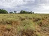 " Sunset View " Lot 15 Landsborough Highway, Winton, Qld 4735-Image