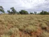 " Sunset View " Lot 15 Landsborough Highway, Winton, Qld 4735-Image