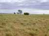 " Sunset View " Lot 15 Landsborough Highway, Winton, Qld 4735-Image