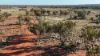 " Turn Turn & Wittenburra ", Eulo, Qld 4491-Image