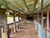 " Turn Turn & Wittenburra ", Eulo, Qld 4491-Image