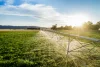 Underground Water Licence, Yalangur, Qld 4352