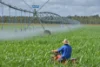Underground Water Licence, Yalangur, Qld 4352-Image