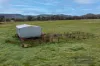 Wangaratta - Eldorado Road, Eldorado, Vic 3746-Image