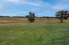Wangaratta - Eldorado Road, Eldorado, Vic 3746-Image