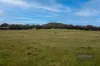 Wangaratta - Eldorado Road, Eldorado, Vic 3746-Image