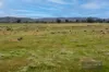 Wangaratta - Eldorado Road, Eldorado, Vic 3746-Image