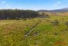 Waratah Road, Waratah, Tas 7321-Image