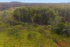 Waratah Road, Waratah, Tas 7321-Image
