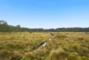 Waratah Road, Waratah, Tas 7321-Image