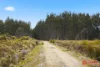 Waratah Road, Waratah, Tas 7321-Image