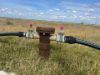 "Warrah Willah" 3245 Goodar Road, Goondiwindi QLD 4390-Image
