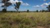 "Warrah Willah" 3245 Goodar Road, Goondiwindi QLD 4390-Image