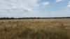 "Warrah Willah" 3245 Goodar Road, Goondiwindi QLD 4390-Image