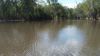 "Warrah Willah" 3245 Goodar Road, Goondiwindi QLD 4390-Image