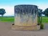 "Wavering Downs"/1467, Pasha QLD 4721-Image