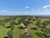 "Willunga" 700 Willunga Road, Cassilis, NSW 2329-Image
