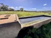 "Willunga" 700 Willunga Road, Cassilis, NSW 2329-Image