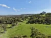 "Willunga" 700 Willunga Road, Cassilis, NSW 2329-Image