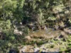 "Willunga" 700 Willunga Road, Cassilis, NSW 2329-Image