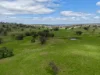 "Willunga" 700 Willunga Road, Cassilis, NSW 2329-Image