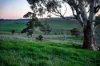 "Windamere", 11 Shearsby Crescent, Yass, NSW 2582-Image