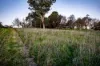 "Windamere", 11 Shearsby Crescent, Yass, NSW 2582-Image