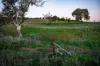 "Windamere", 11 Shearsby Crescent, Yass, NSW 2582-Image
