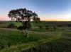 "Windamere", 11 Shearsby Crescent, Yass, NSW 2582-Image
