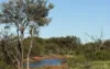 Wongawol, Wiluna, WA 6646-Image
