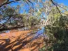 Wongawol, Wiluna, WA 6646-Image
