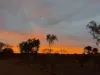 Wongawol, Wiluna, WA 6646-Image