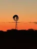Wongawol, Wiluna, WA 6646-Image