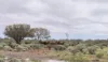Wongawol, Wiluna, WA 6646-Image