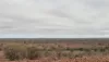 Wongawol, Wiluna, WA 6646-Image