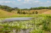 Wooyung Road, Crabbes Creek, NSW 2483-Image