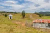 Wooyung Road, Crabbes Creek, NSW 2483-Image