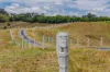 Wooyung Road, Crabbes Creek, NSW 2483-Image