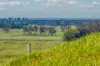 Wooyung Road, Crabbes Creek, NSW 2483-Image