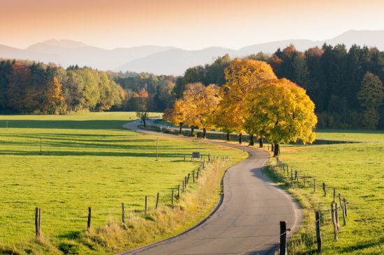 Latrobe Valley Property Management - Real Estate Agency