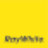 Leasing Division - Real Estate Agent From - Ray White - Kirwan