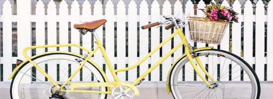 Ray White Kingston SE/Robe - Kingston/Robe RLA277795 - Real Estate Agency