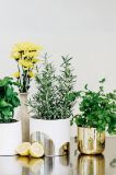 Ray White Narangba - Real Estate Agent From - Ray White - Narangba