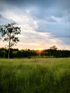 0 Walters Road, Booyal, Qld 4671-Image