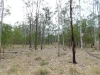 00 George Street, Nanango, Qld 4615-Image